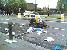 acton rubbish