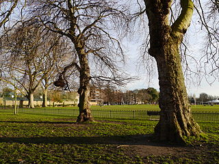 Hurlingham Park in Fulham