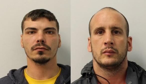 Aleksandar Uljaveric and Alexandru Mitu jailed for drug offences
