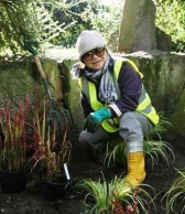 Helping out in Hammersmith Park's Japanese garden