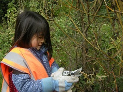 Volunteer helping to restore Hammersmith Park