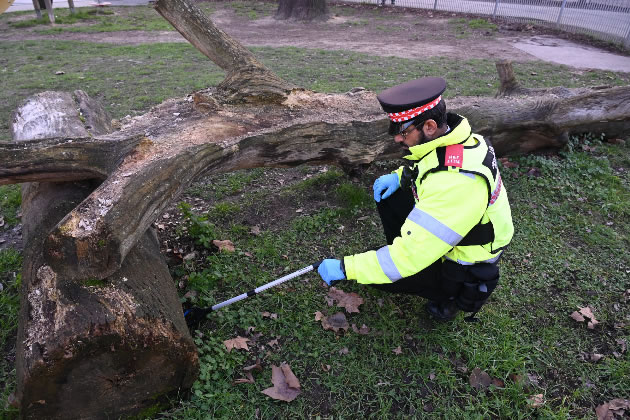 A H&F LET officer searching a log on Shepherd's Bush Green on Thursday, Feb 9. Picture: H&F Council 