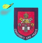 Pope John school badge